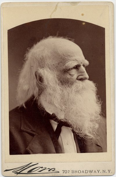 William Cullen Bryant (1794-1878), American Poet by American Photographer